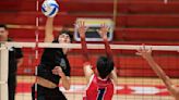 Le Jardin to face University for Division II boys volleyball title