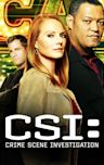 CSI: Crime Scene Investigation - Season 10