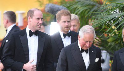 Queen Camilla Didn't 'Encourage' King Charles to Meet With Harry