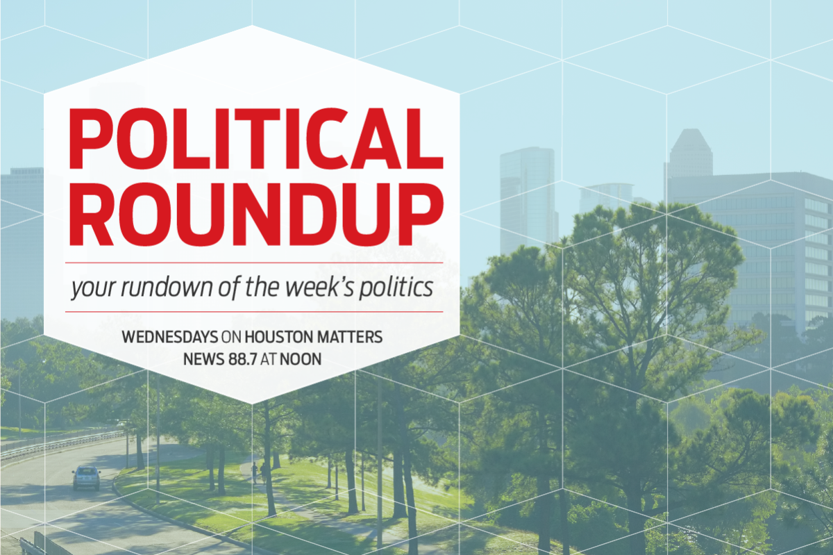 Political Roundup: HPD Chief Finner out, and local leaders out of sync | Houston Public Media
