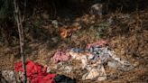 Apuntes forenses de una hoguera (o un crematorio) en el sur de Ciudad de México