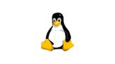 Major Linux distros targeted by hackers exploiting this significant flaw
