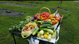 Noblesville shuts down community garden that fed neighbors in distressed area