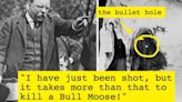 11 Shocking Facts I Learned About Assassinations And Attempts Made On US Presidents Throughout History