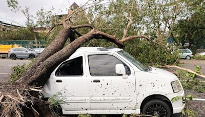 Taiwan re-opens, mopping up after Typhoon Krathon