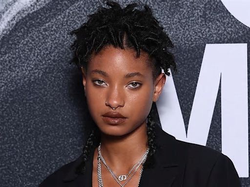 Willow Smith's Braids Are So Long, They Don't Even Fit in Her Latest Selfie