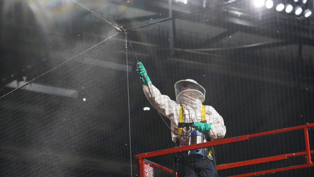 Hero beekeeper Matt Hilton getting a Topps baseball card