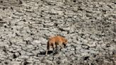 World must not give up on 1.5 C global warming target