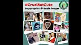 Burlington Non-Profit Launches Citizen Science Initiative to Combat Cruelty To Primates