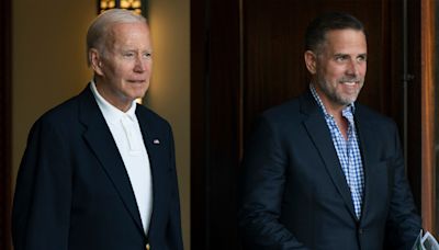 Hunter Biden only pleaded guilty in tax case as pardon likely, ex-lawyer claims