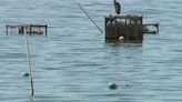 Mussel harvesting closed along northern Oregon coast