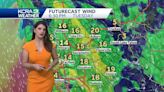 Impact Day for hot temperatures and gusty North winds