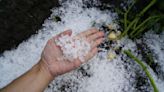 The $100 million hailstorm that hit Canada's second-largest wine-producing area