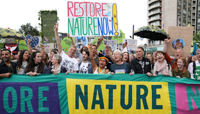 Multitudinaria manifestación en Londres contra el cambio climático: varios actores como Emma Thompson encabezan la marcha