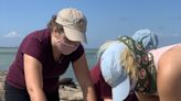 'Tis the season to be giving: This Coastal Bend org gives back through beach cleanups