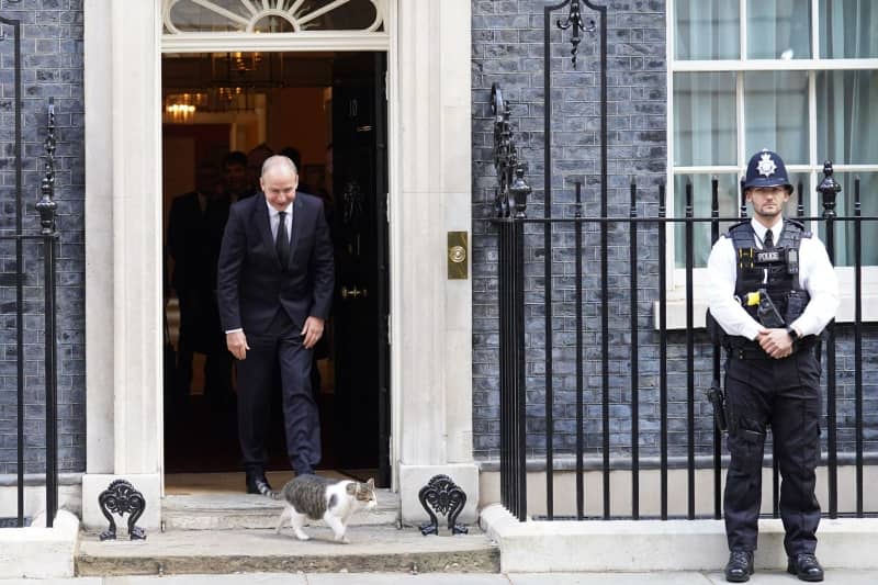 Larry the cat training yet another prime minister in Downing Street