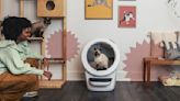 This Actually Attractive Self-Cleaning Litter Box Is a Game-Changer for Cat Parents