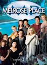 Melrose Place season 2