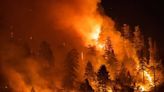 Ex-college professor sentenced for setting 7 wildfires