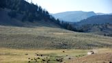 Yellowstone mountain’s ‘derogatory’ name changed