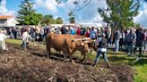 Matamá renovó la tradición con una nueva “Sementeira”