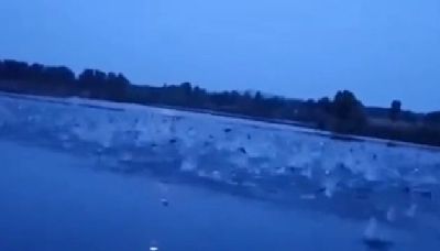 山東泰安大量魚群躍出水面 引發各種猜疑