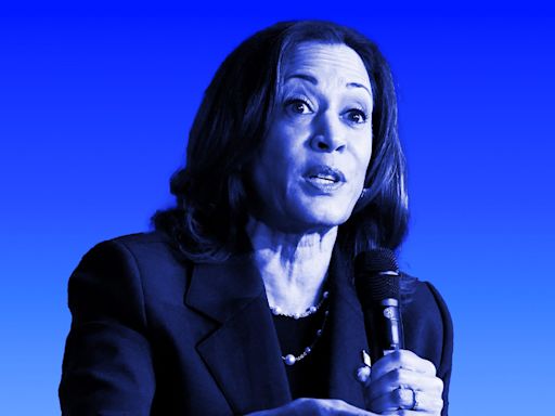 Kamala Harris is racking up endorsements from key Democrats — and Trump is already on the attack