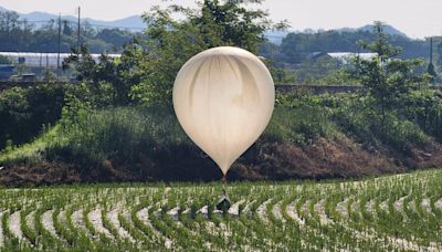 North Korea Accused of Launching Floating Poop Balloon Attack