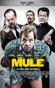 The Mule