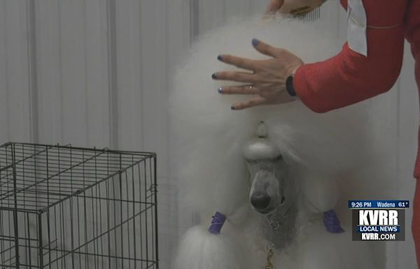 Pups compete at annual F-M Kennel Club Dog Show - KVRR Local News