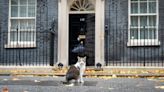 New kitten will join Starmer family in Downing Street, Prime Minister reveals