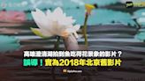 【錯誤】高雄澄清湖拍到魚吃荷花的景象？實為2018年北京舊影片