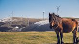 El parque eólico de Labraza que impulsa Iberdrola en Álava obtiene la autorización administrativa de construcción