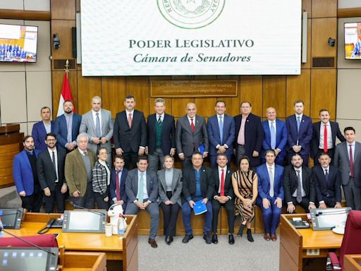 La Nación / Delegación argentina analiza nuevas alianzas estratégicas con senadores nacionales