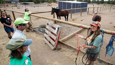 Pet Evacuation Team helps local livestock during wildfires