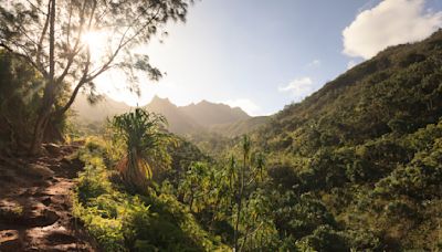 Norovirus sickens dozens on Hawaii hiking trail, forcing site’s closure