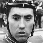 Eddy Merckx