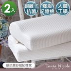 Tonia Nicole東妮寢飾 銀抗菌舒眠記憶枕(2入)