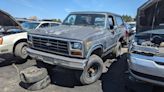 Junkyard Gem: 1983 Ford Bronco