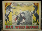 Wild Blood (1928 film)