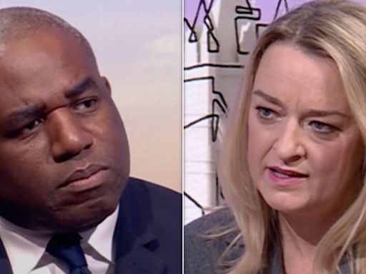 David Lammy Refuses To Condemn Donald Trump For Claiming Immigrants Eat Pets