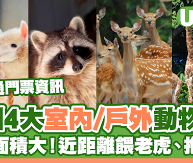 深圳4大室內/戶外動物園！佔地面積大、接觸可愛小動物 | U Travel 旅遊資訊網站