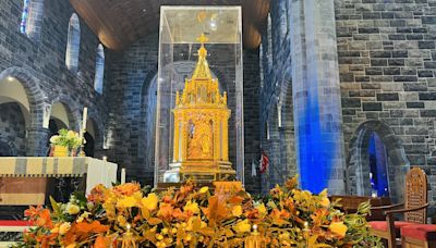 National tour under way for relics of St Bernadette