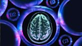 Scientists investigating the "sewage system" of the brain search for mechanisms behind Alzheimer's