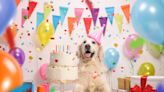 100-Year-Old Woman Wants To Celebrate Her Birthday with 100 Dogs