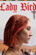 Lady Bird (film)