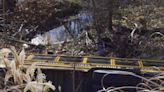 Kentucky school bus crashes off embankment, 18 children hurt