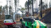 New project at Holiday Farm Fire site turns woody debris into biochar
