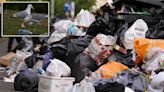 Mountains of waste could pile up on Scotland's streets within days