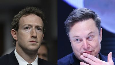 Elon Musk is still insisting he's down to fight Mark Zuckerberg: 'Any place, any time, any rules'